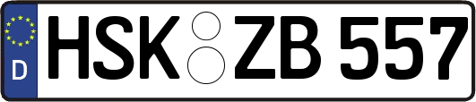 HSK-ZB557