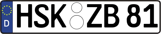 HSK-ZB81