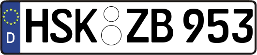 HSK-ZB953