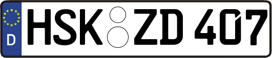 HSK-ZD407