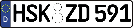 HSK-ZD591