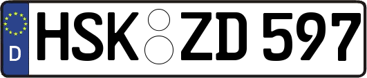 HSK-ZD597