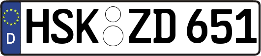 HSK-ZD651