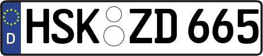 HSK-ZD665