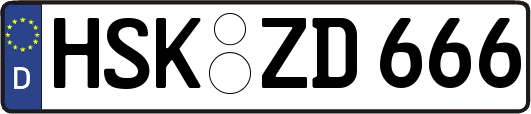 HSK-ZD666