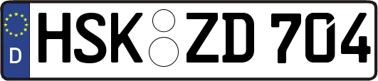 HSK-ZD704