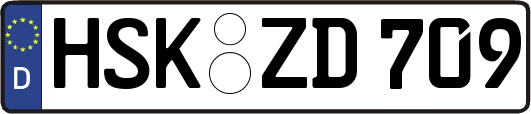 HSK-ZD709