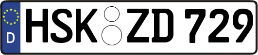 HSK-ZD729