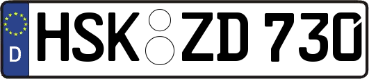 HSK-ZD730