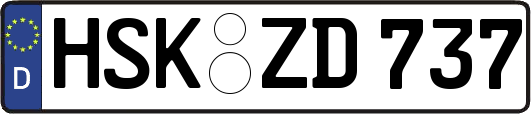 HSK-ZD737