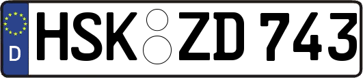 HSK-ZD743