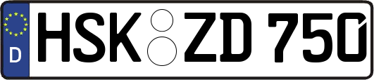 HSK-ZD750