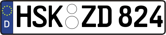 HSK-ZD824