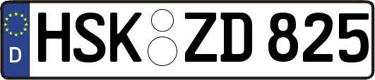 HSK-ZD825