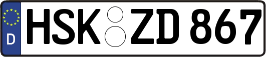 HSK-ZD867