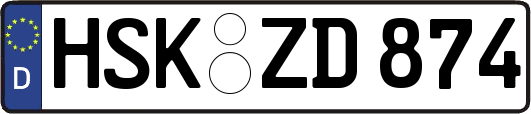 HSK-ZD874