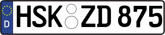 HSK-ZD875