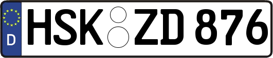 HSK-ZD876