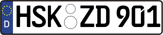 HSK-ZD901