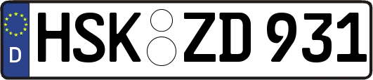 HSK-ZD931