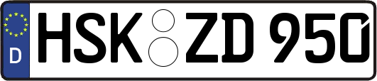HSK-ZD950