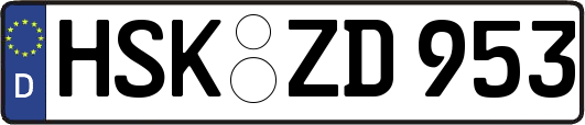 HSK-ZD953