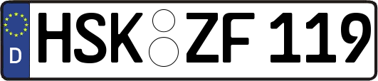 HSK-ZF119