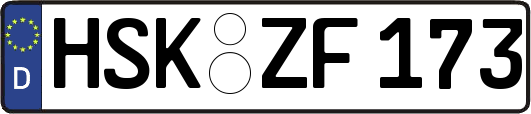 HSK-ZF173