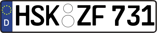HSK-ZF731