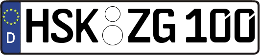 HSK-ZG100
