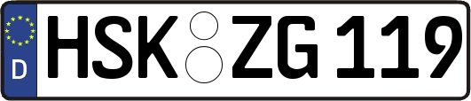 HSK-ZG119