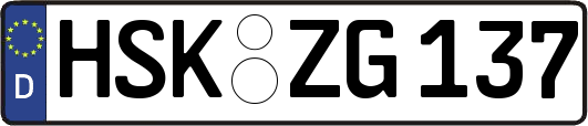 HSK-ZG137