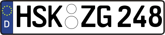 HSK-ZG248