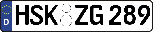 HSK-ZG289