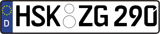 HSK-ZG290