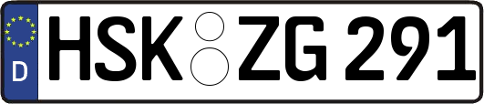 HSK-ZG291