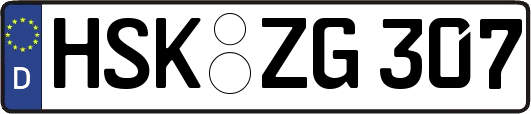 HSK-ZG307