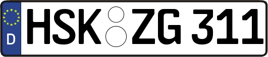HSK-ZG311