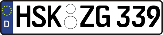 HSK-ZG339