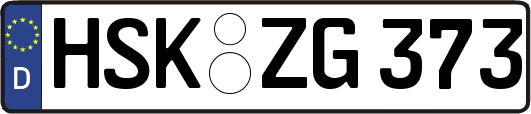 HSK-ZG373