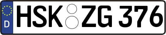 HSK-ZG376