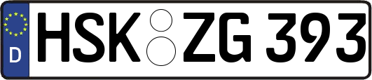 HSK-ZG393