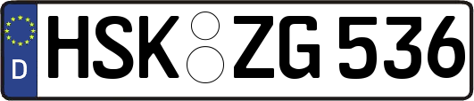 HSK-ZG536
