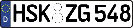 HSK-ZG548