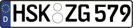 HSK-ZG579