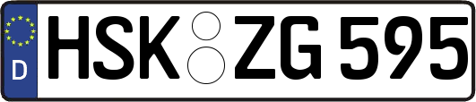 HSK-ZG595