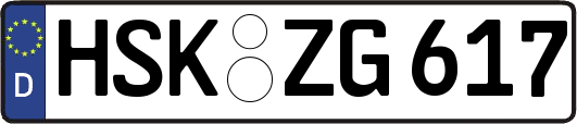 HSK-ZG617