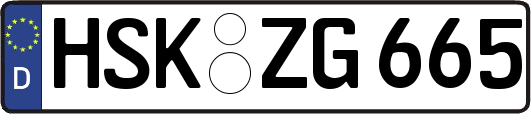 HSK-ZG665