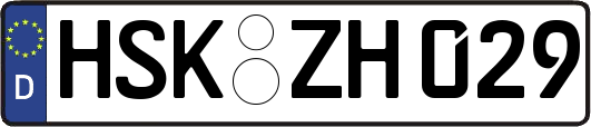 HSK-ZH029