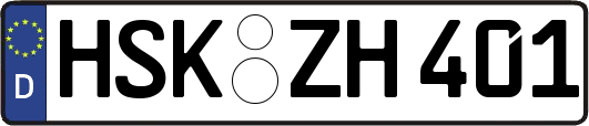 HSK-ZH401